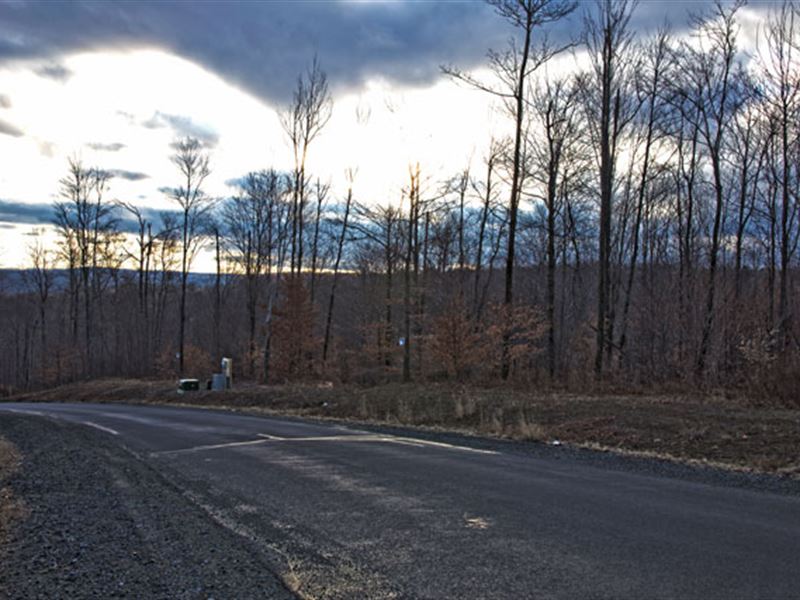 Pennsylvania Land 1.2 Acres : Scranton : Lackawanna County : Pennsylvania