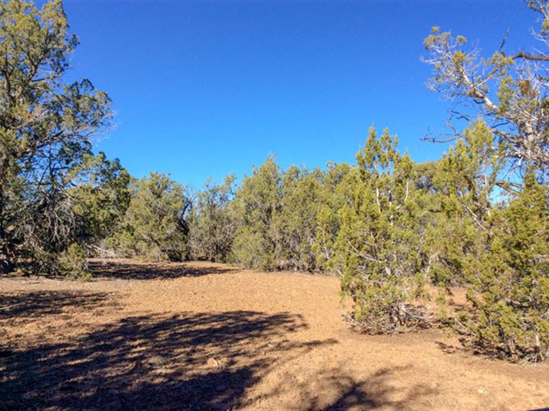 Arizona Land for Sale 2.3 Acres : Yucca : Mohave County : Arizona