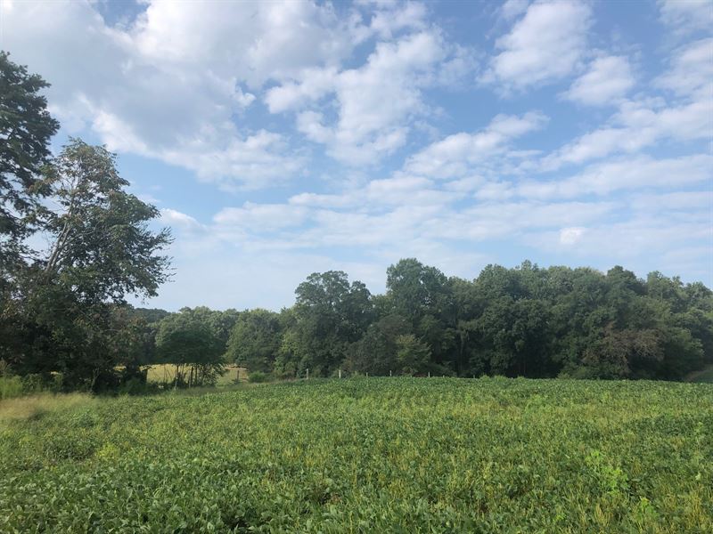 Land For Sale In Stanly County Nc : Land For Sale in Pitt County, NC | Homes.com - We did not find results for: