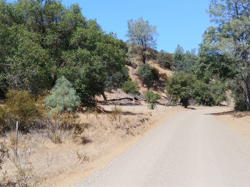 Colusa County, CA Recreation Land Land for Sale in Arbuckle, Colusa