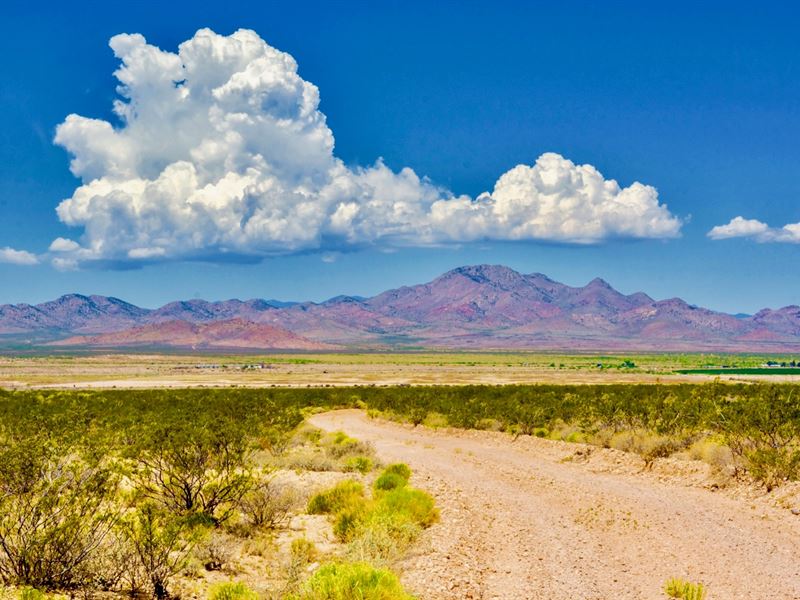 Ranch W Power Bordering Public Land Land for Sale by Owner in Animas