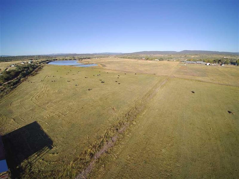 Hatchery Rd Farm : Los Ojos : Rio Arriba County : New Mexico