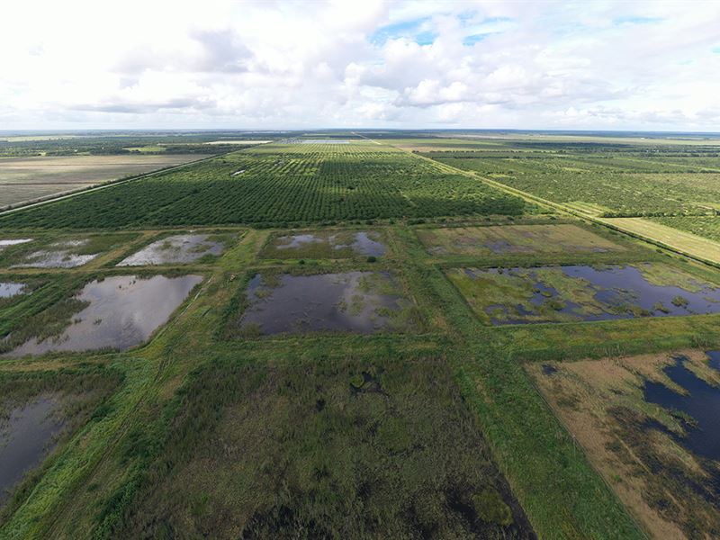 Vero Farm Development : Vero Beach : Indian River County : Florida