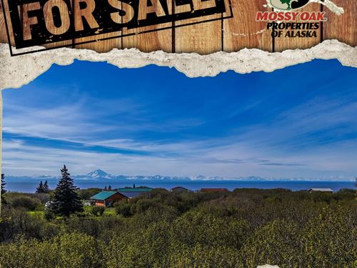 Highway View Lot : Ninilchik : Kenai Peninsula Borough : Alaska