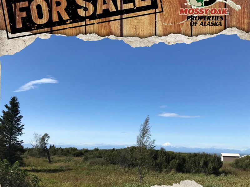 Highway View Lot : Ninilchik : Kenai Peninsula Borough : Alaska