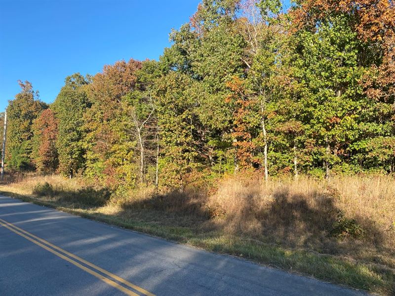67.8 Acres in Ripley County, MO : Doniphan : Ripley County : Missouri