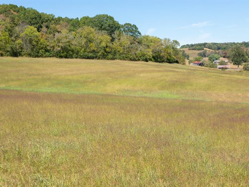 Beautiful 27 Acre Mini Farm : Santa Fe : Maury County : Tennessee