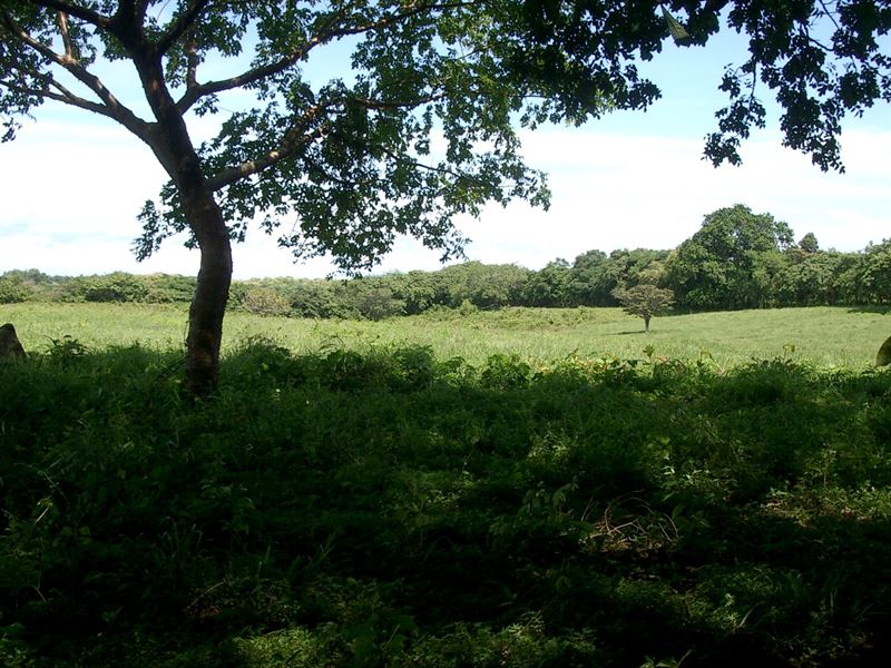 Ocean Mountain View Property Punta : Panama