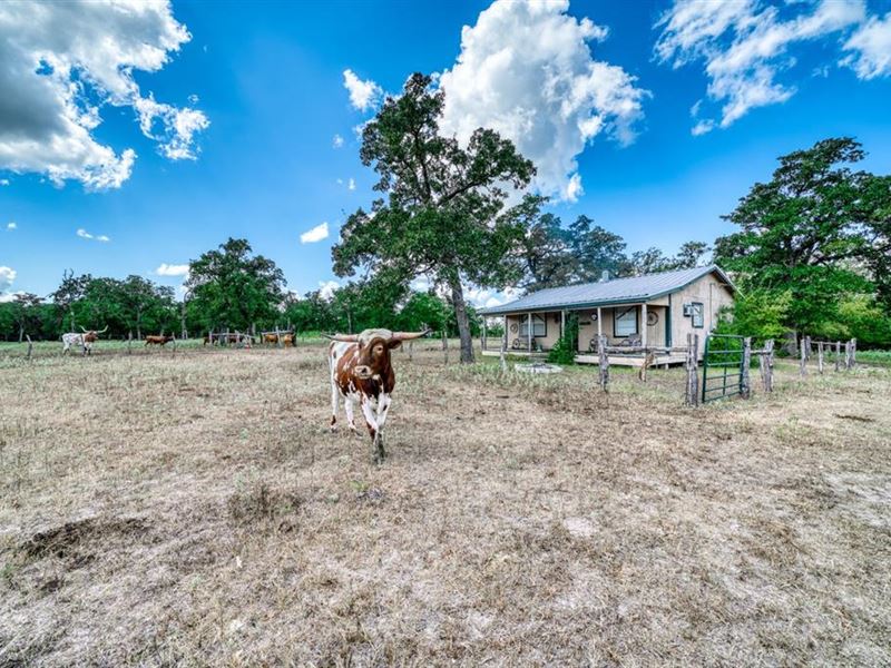 20+/ Acres In Grimes Land for Sale in Iola, Grimes County, Texas