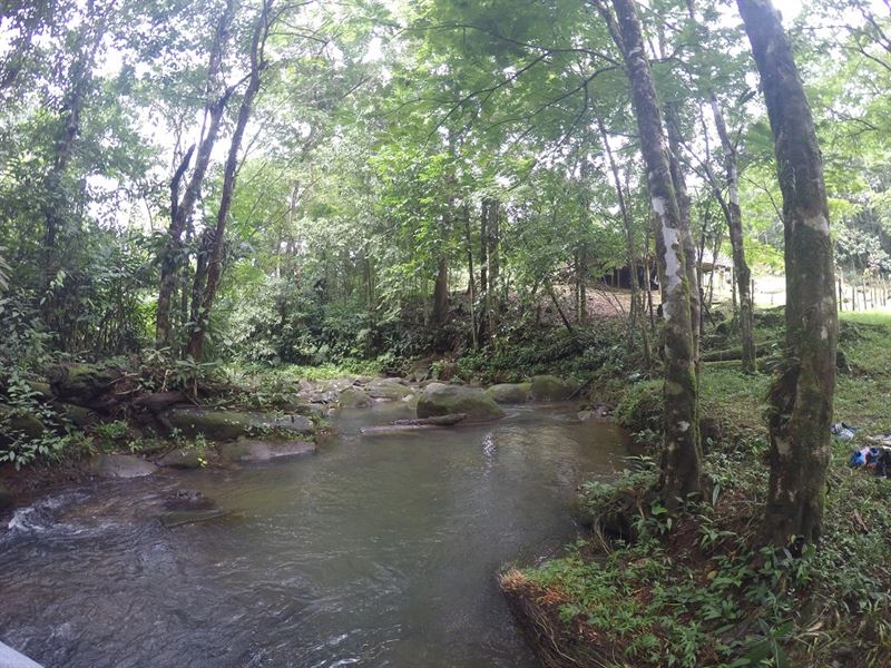 Off Grid, 2 Houses, Creek, Jungle : Sarapiqui : Costa Rica