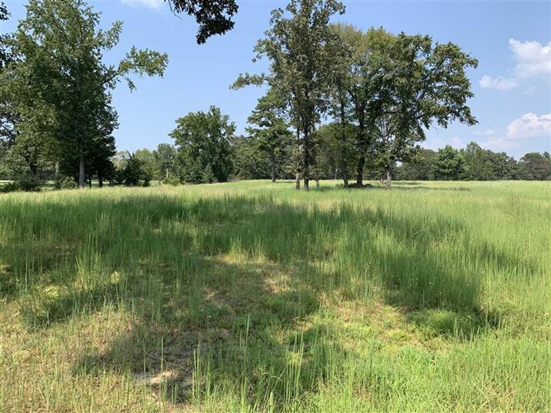 11 Cleared Acres Hwy 13 Frontage : Searcy : White County : Arkansas