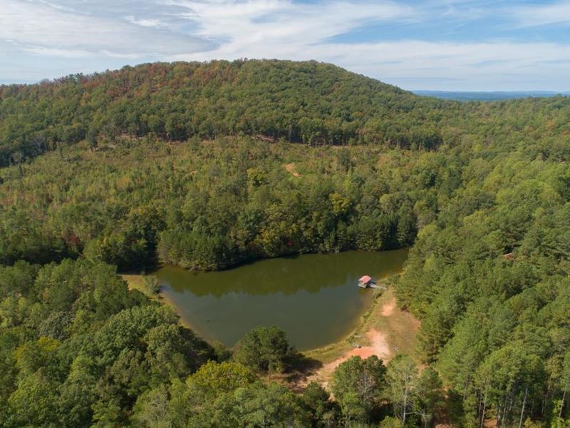 The Tally Mountain Cabin Lake : Tallapoosa : Haralson County : Georgia