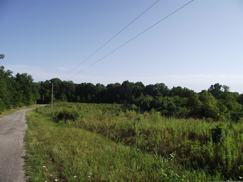 Tennessee Land With a Creek Land for Sale in Savannah, Hardin County