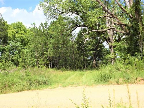 Affordable Acreage in Jones County : Gray : Jones County : Georgia
