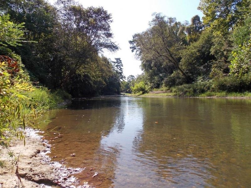 22.50 Acres in Tylertown, Mississippi : Tylertown : Walthall County : Mississippi