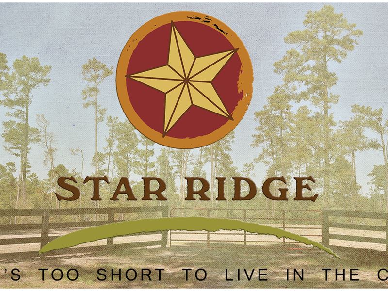 17 Ac Cm Hardy Lane-Star Ridge : Livingston : Polk County : Texas