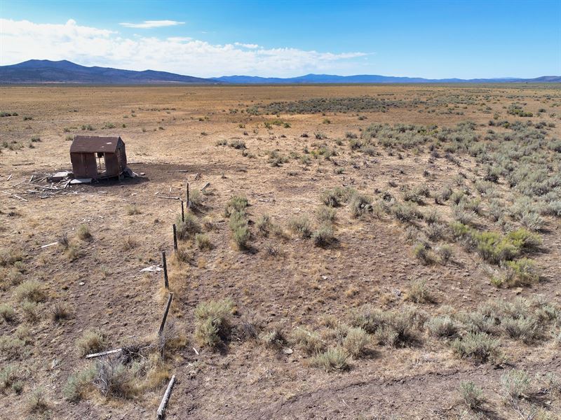 Mathews Hemp Farm : Madeline : Lassen County : California