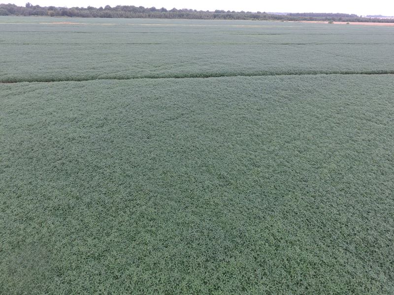 Very Fertile Precision Leveled Farm : Tuckerman : Jackson County : Arkansas