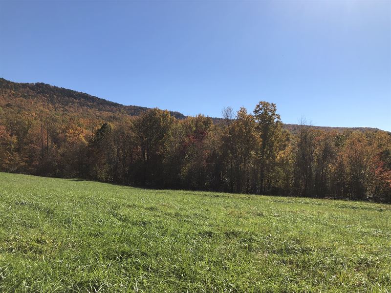 Beautiful Farm Land With Mtn View Land for Sale by Owner in Germanton