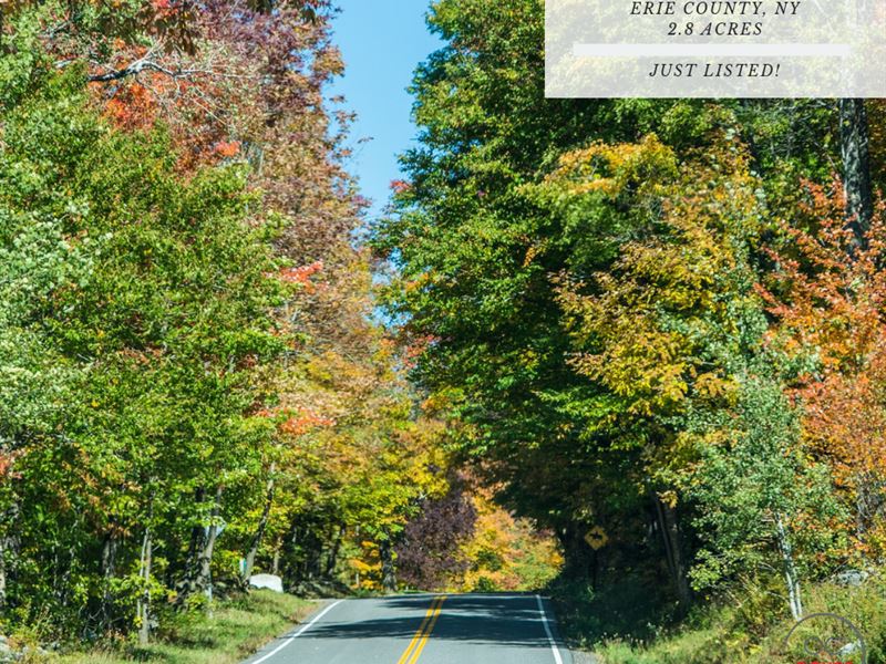 2.80 Acres In Erie County, NY : Collins : Saint Lawrence County : New York