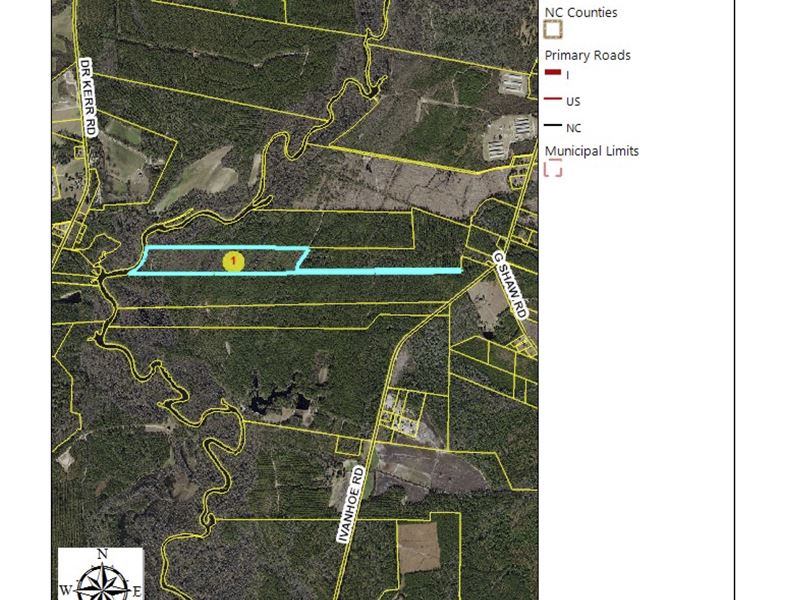 Black River Hunting / Recreational Land for Sale in Ivanhoe, Sampson