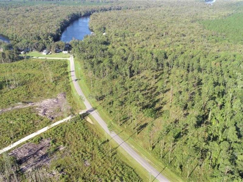 9.13 Acres Land for Sale Camden Cou : Kingsland : Camden County : Georgia