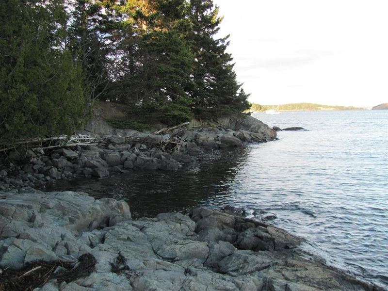 Deep-Water Coastal Lot Lubec, Maine : Lubec : Washington County : Maine