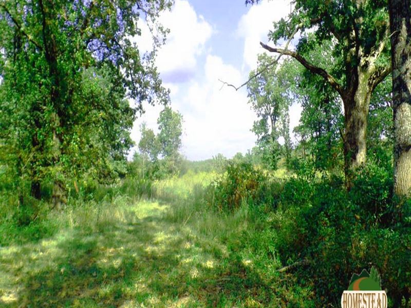 Ultimate Recreational Property For : Mountain View : Howell County : Missouri