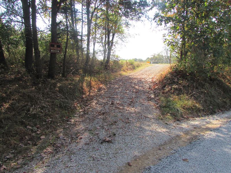Perfect 132.5 Acres In Wv : Ellenboro : Ritchie County : West Virginia