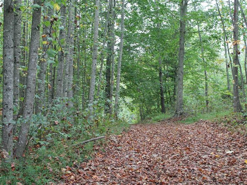 42.5 Acres in Macon County, Tennes : Red Boiling Springs : Macon County : Tennessee