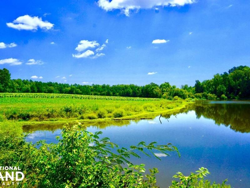 Roxboro Farm and Hunting Land : Roxboro : Person County : North Carolina
