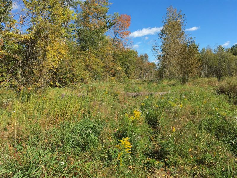 Land Lot For Sale in Corinth, Maine Land for Sale in Corinth