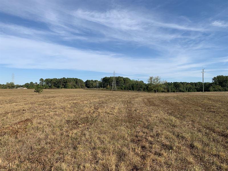 Beautiful Pasture, Land for Sale in South Carolina, 217795 LANDFLIP