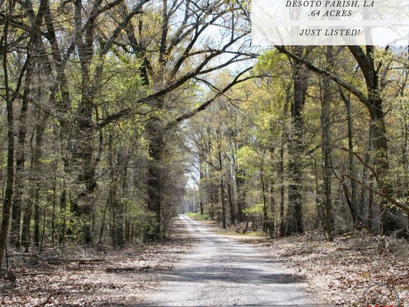 .64 Acres in Desoto Parish, LA : Frierson : De Soto Parish : Louisiana