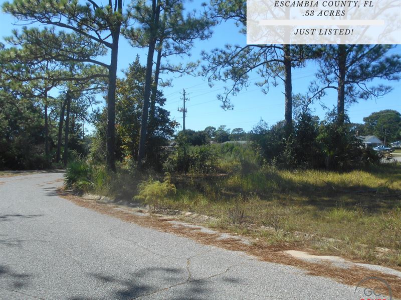 .53 Acres In Escambia County, FL Land for Sale by Owner in Bellview