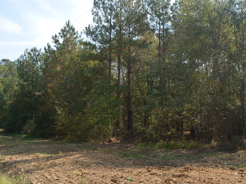 Unrestricted Large 28 Acre Tract : Pittsboro : Chatham County : North Carolina