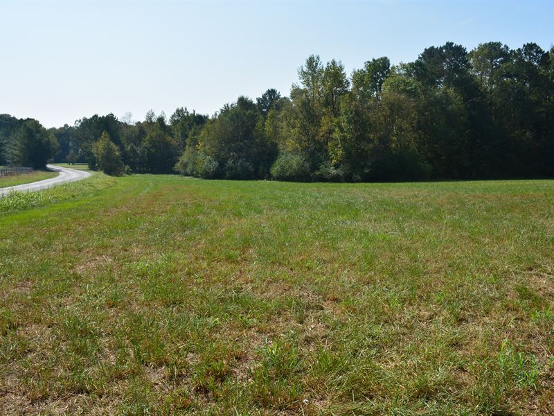 Large Unrestricted Acreage Tract, Land for Sale in North Carolina