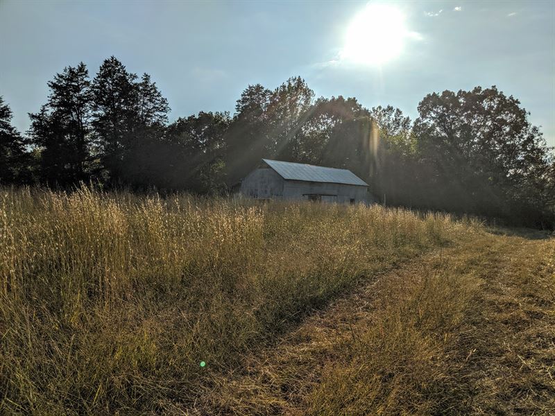Beautiful Farm with Creek Frontage : Lafayette : Walker County : Georgia