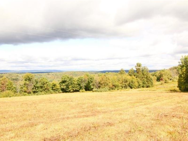 113+/ Acres Land Land for Sale in Shickshinny, Luzerne County