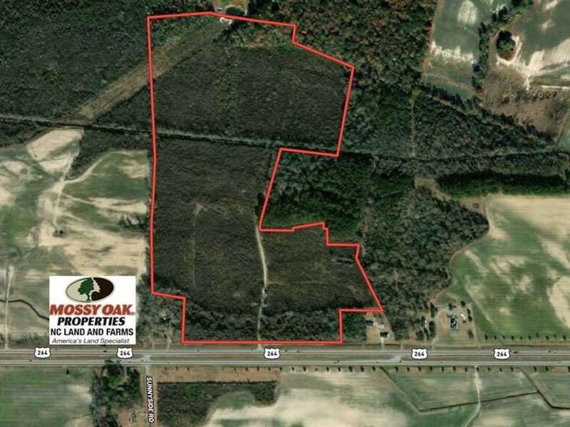 93 Acres of Comm : Greenville : Pitt County : North Carolina
