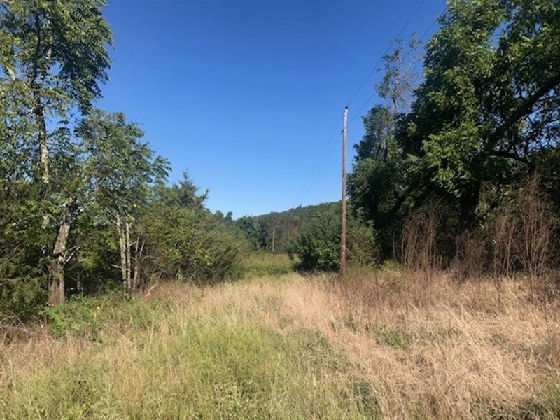 Wooded Acreage in Ozark Mountains Land for Sale in Harrison, Madison