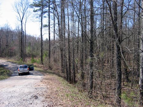 44 Acres : Talking Rock : Pickens County : Georgia