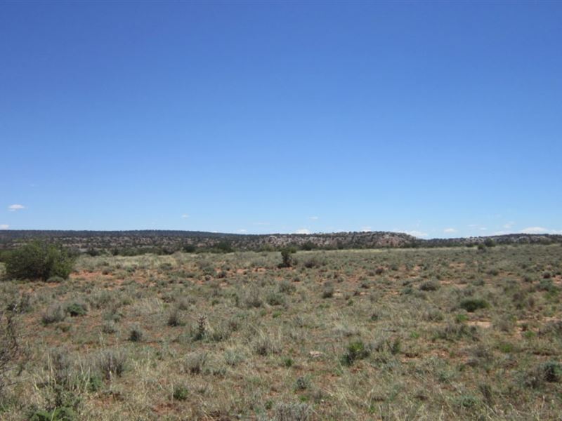 Home, Home On The Range, $65/Month : Snowflake : Navajo County : Arizona