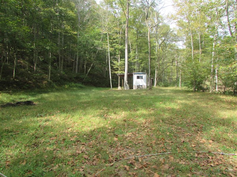 Rare Find Located in WV : Macfarlan : Ritchie County : West Virginia