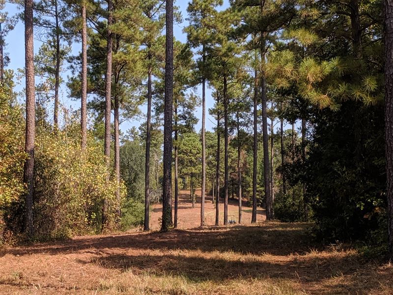 80 Acres Of Great Hunting Land Land for Sale in Marion, Perry County