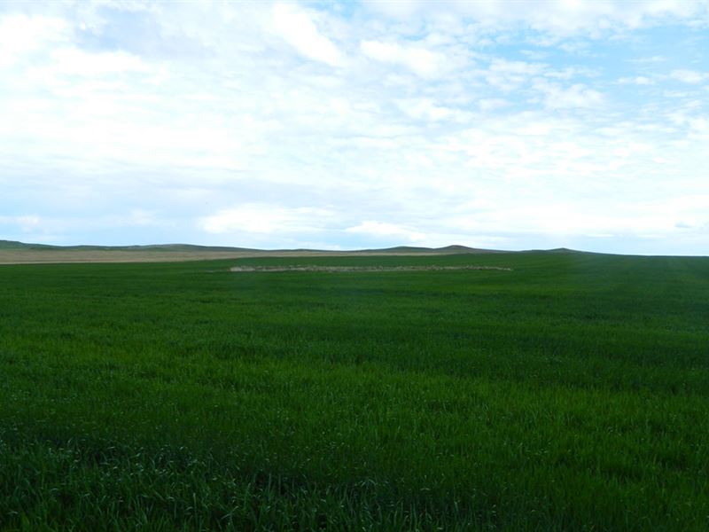 Perkins County 160 : Ralph : Perkins County : South Dakota