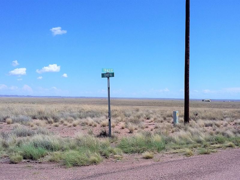 Nice Corner Lot, Sun Valley, $229/M : Sun Valley : Navajo County : Arizona