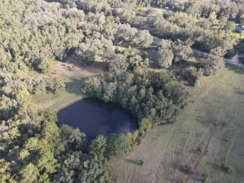 10481 Ashville Hwy : Greenville : Madison County : Florida