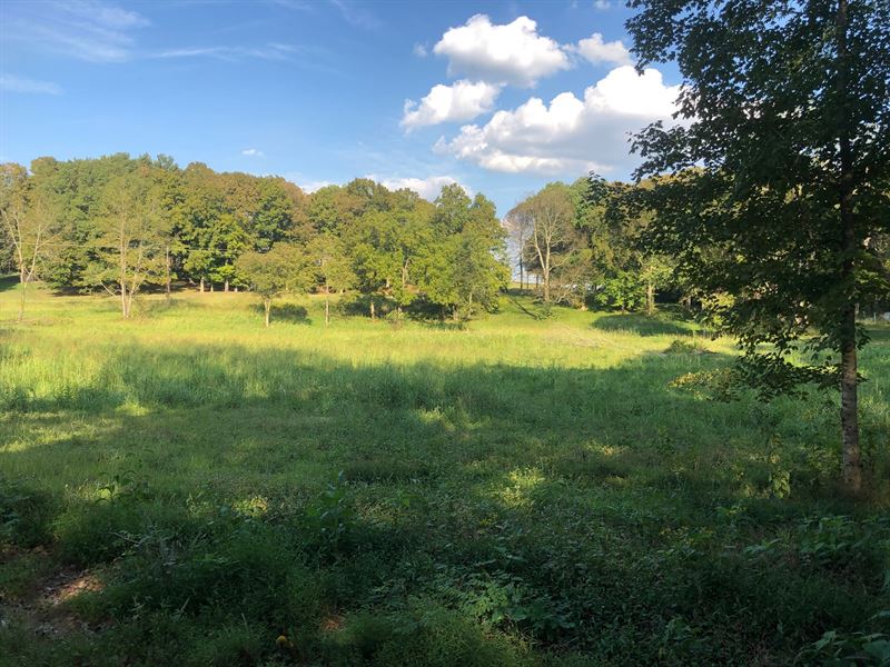 Nice 5 Acre Lot, Ready To Build : Bowling Green : Warren County : Kentucky