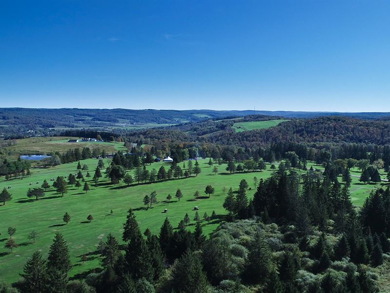 Turnkey Golf Course and Equipment : Cincinnatus : Cortland County : New York